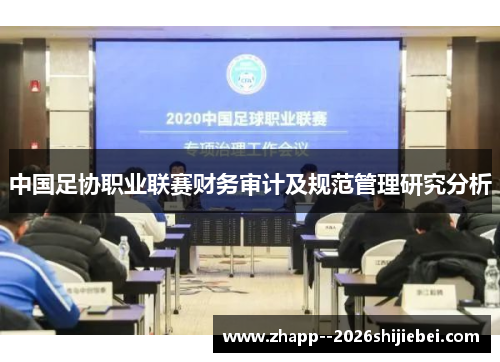 中国足协职业联赛财务审计及规范管理研究分析